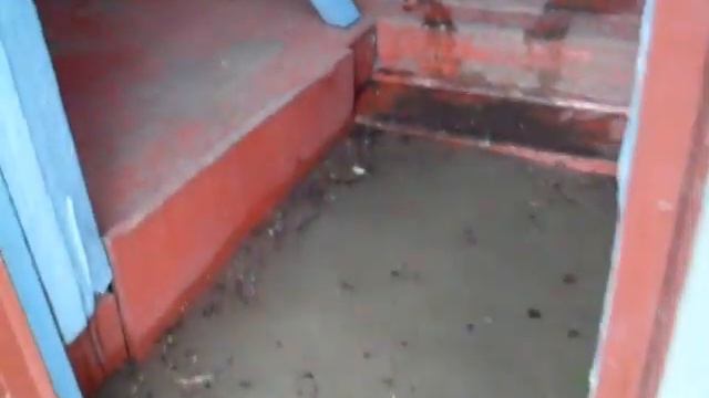 Наводнение(заходим в дом) смотреть онлайн