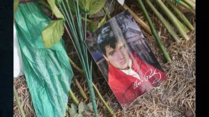 Здесь жил Элвис. 
Поместье короля и как монетизируют его наследие.