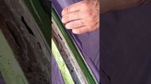 замена лобового стекла на мазде323