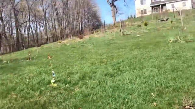 All magnolia tour смотреть онлайн