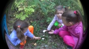 Ах, какая ОСЕНЬ! (детская песенка)