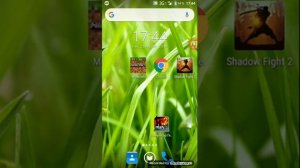 Биография Огинского