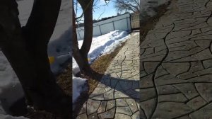 Мр - 61 и Мр - 512- 06