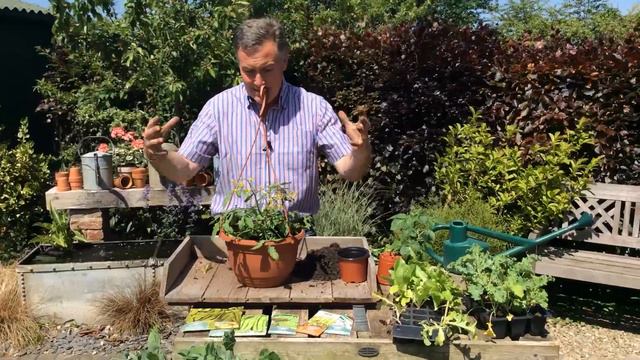 How to Grow Veggies in Containers - Pots & Trowels смотреть онлайн