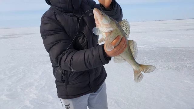 Поехали за судаком! Рыбалка на жерлицы 2021 смотреть онлайн