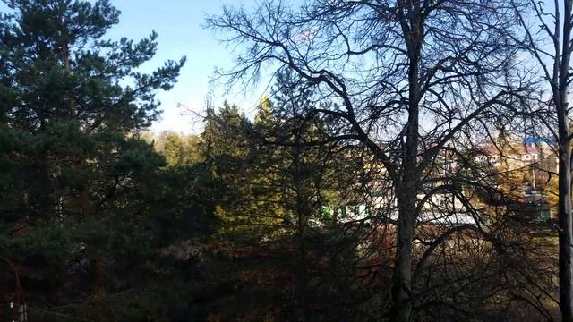 1836, улица Автовокзальная, станция юннатов, Лужки, Ботаника, Комсомольская, магазин Уют, город Орё смотреть онлайн