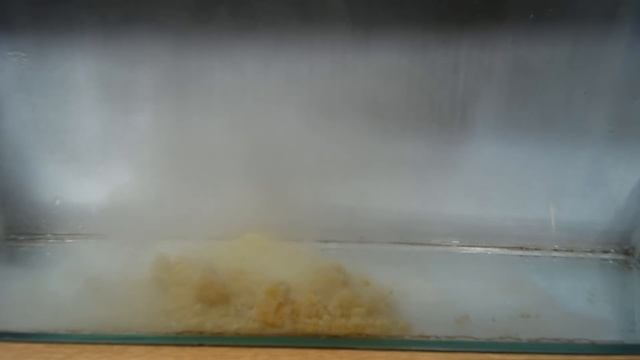 Варим горох для ловли леща - три варианта приготовления. смотреть онлайн