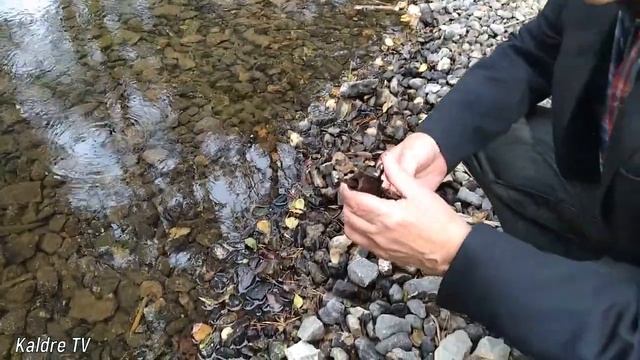 Шок. Нереальная находка! Не пропусти, смотри, что хранят водоёмы Эстонии