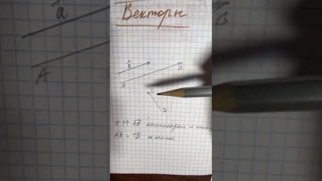 Что такое вектор? Коллинеарные векторы