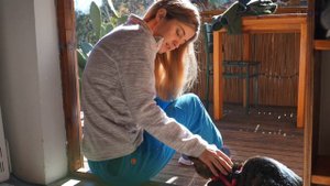 Путешествия с котом: в самолете за границу ?