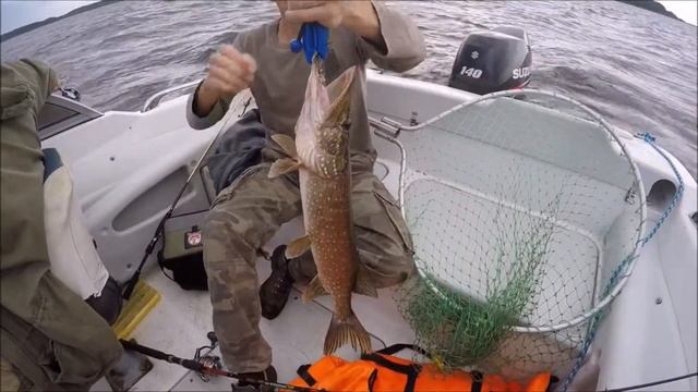 Рыбинск июль-август 2018 смотреть онлайн