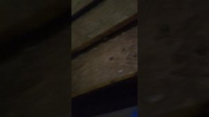 прогулка по заброшен (и не только﹥:3)