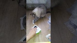 Распаковка посылки с Aliexpress. Магнитная щётка для мытья окон.