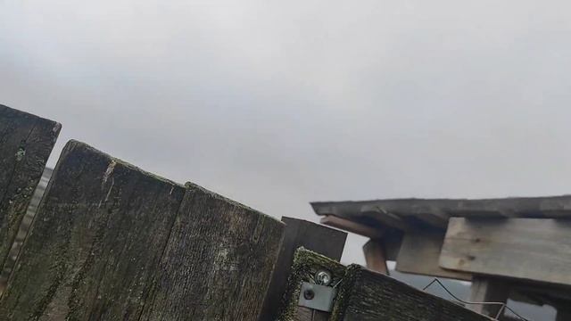 Машина наша и не наша.Все страдальцы.Козлы.Тушим козлиные рёбрышки смотреть онлайн