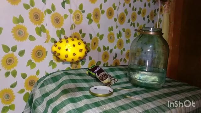 висельник на лимоне с гвоздикой