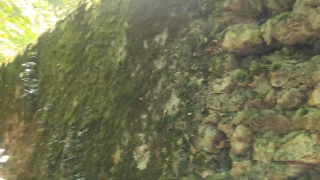 Черный ход в За́мок Вилландри́ (Château de Villandry) смотреть онлайн