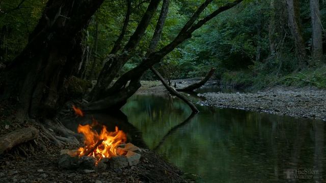 звук костра включить и слушать онлайн бесплатно шум костра в лесу возле воды для сна. звуки природы