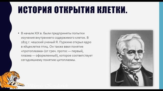 История открытия клетки. Создание клеточной теории