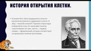История открытия клетки. Создание клеточной теории
