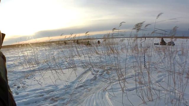 Свирица 11 12 21. Первый выезд, первые окуни. смотреть онлайн