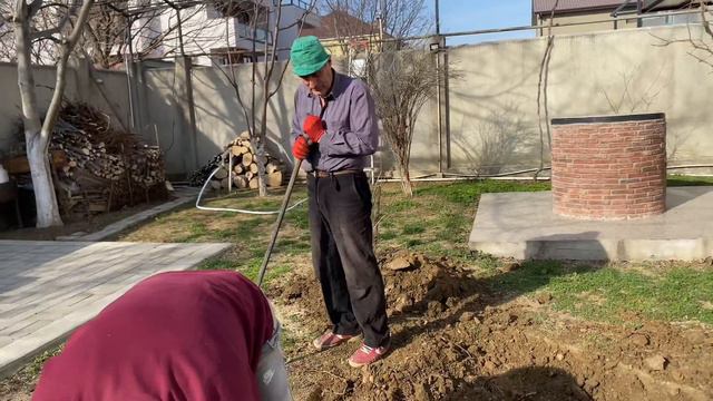 Прощай , моя ПАВЛОВНИЯ 🌳 Пришлось срезать мою любимую Павловнию 🪵 Причину рассказываю в видео 🪵 смотреть онлайн