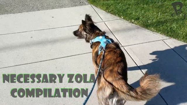 Meet the Byte Family: Jordyn смотреть онлайн