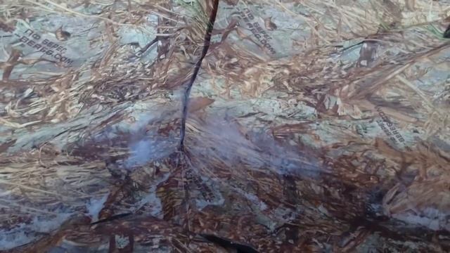 20 км пешком по тайге в мороз -30 смотреть онлайн