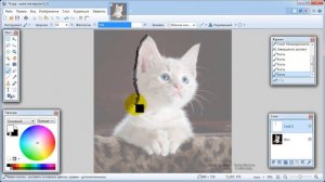 Paint.net. Урок 24. Как можно перерисовать фото, сделать эскиз