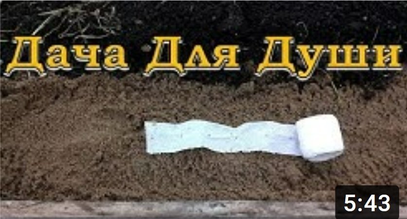Сеем МОРКОВЬ в теплицу для раннего урожая!???