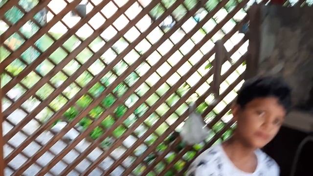 70 лет - это все-таки мало! 23.07.2022. Свечка на торте смотреть онлайн