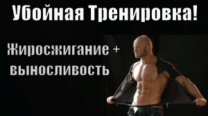 Жиросжигающая тренировка + выносливость. Делать после силовой!
