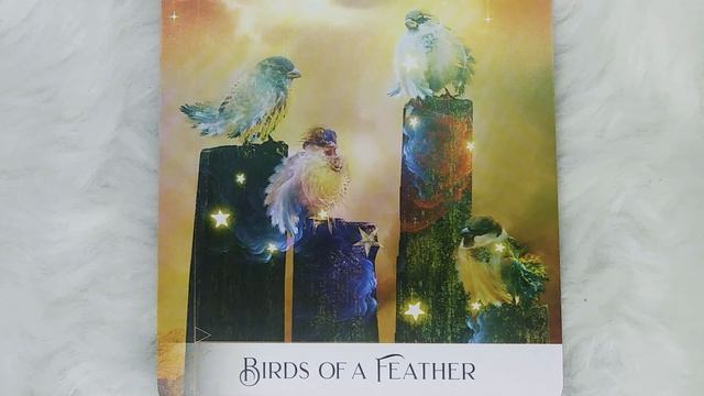 Birds Of A Feather✨Daily Message - Oracle Of The 7 Energies Guidance #birdsofafeather #message смотреть онлайн