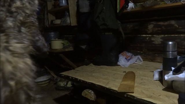 Отгадка на загадку. Выворачивание шкурки соболя. смотреть онлайн