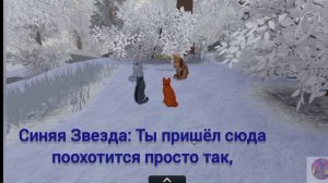 что такое коты воители?в видео содержится спойлеры!!!