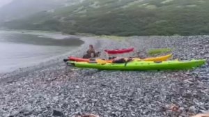 Медвежье семейство на Камчатке заглянуло в гости к туристам