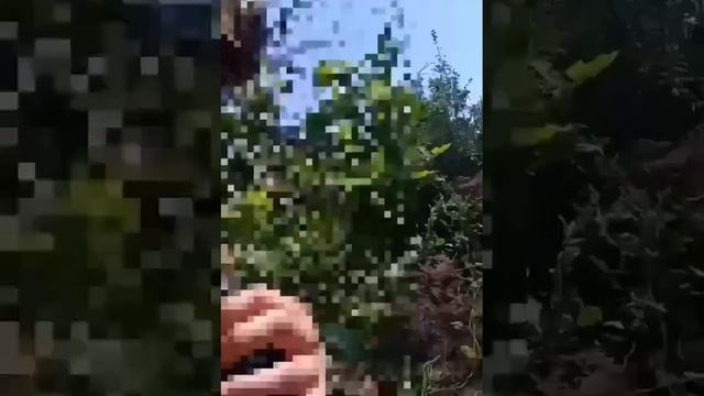 Доставка продовольствия на позиции нашим бойцам с помощью квадракоптера