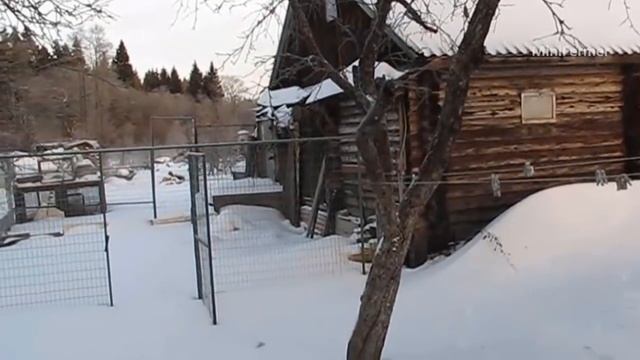 ТЕПЛО В КУРЯТНИКЕ. Способы обогрева в зимний период. Особенности содержания несушек зимой. смотреть онлайн