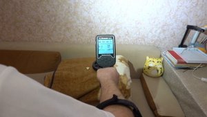 NOKTA LEGEND 1. 10 - Отсечение ПРОБОК!