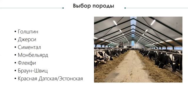 Как отбирать скот в Европе