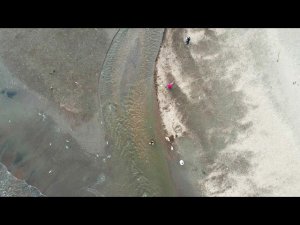 заход горбуши на нерест. Бухта Тихая, Сахалин