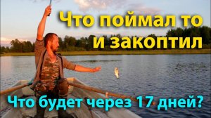 Наконец то поймал рыбу. Скоро перепелок станет больше.