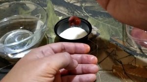 Супер насадка для ловли осеннего карася