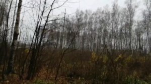 Бег после инфаркта миокарда.Мой опыт восстановления и укрепления сердечно сосудистой системы.