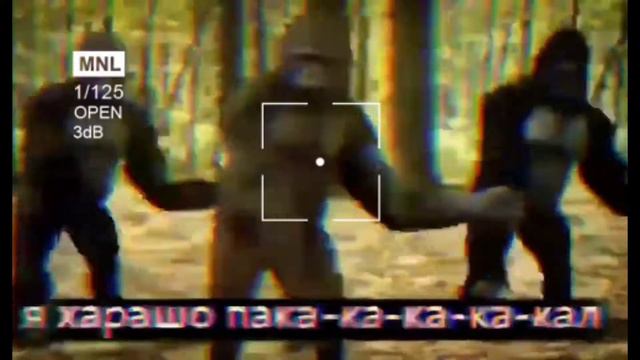 танцующие гориллы