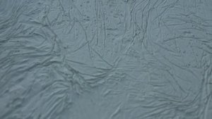 Фактурная штукатурка пленкой, жатый эффект