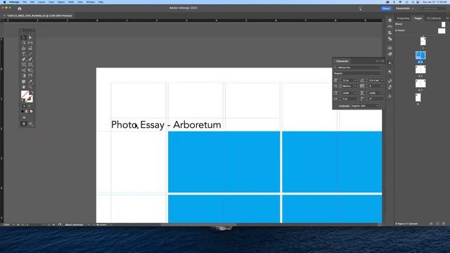 Adobe Indesign Portfolio Basics
