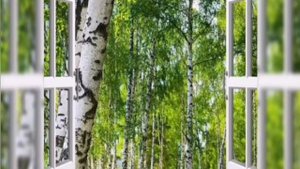 "Здравствуй, утро ясное" песня о Родине