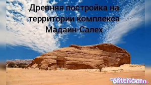 О КОМПАНИИ ООО УМРА  – туроператор для мусульман, поможем отправиться в паломничество в Хадж и Умру