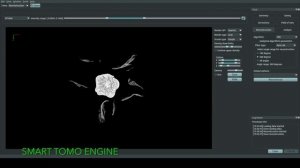 Томографическая реконструкция гвоздики| Smart Tomo Engine 2.0