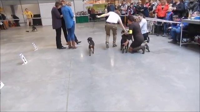 Азия сравнение на ЛПП смотреть онлайн